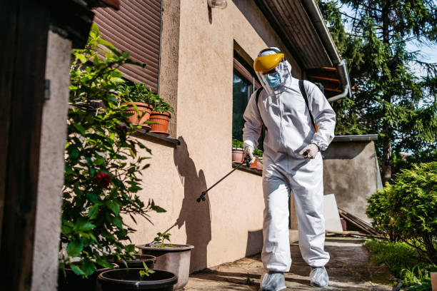 Best Termite Control Services  in Princeton, NJ
