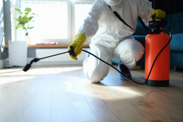 Insect Control in Princeton, NJ