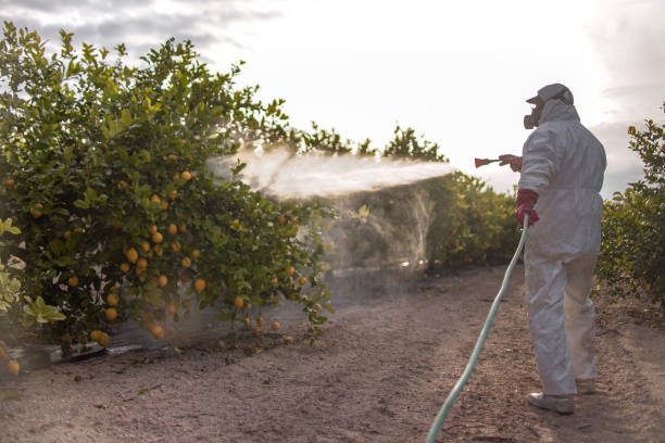 Pest Control Cost in Princeton, NJ