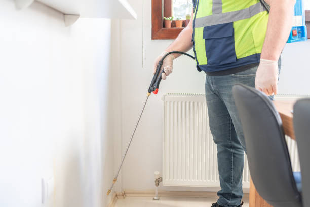 Flea Control Services in Princeton, NJ