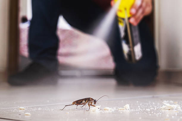 Best Spider Control Near Me  in Princeton, NJ