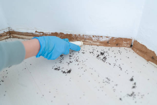 Best Pest Inspection Near Me  in Princeton, NJ